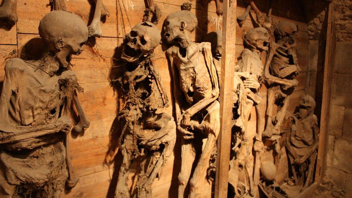 The mummies