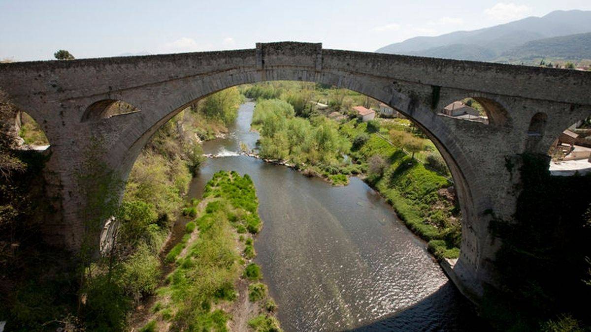 The bridge