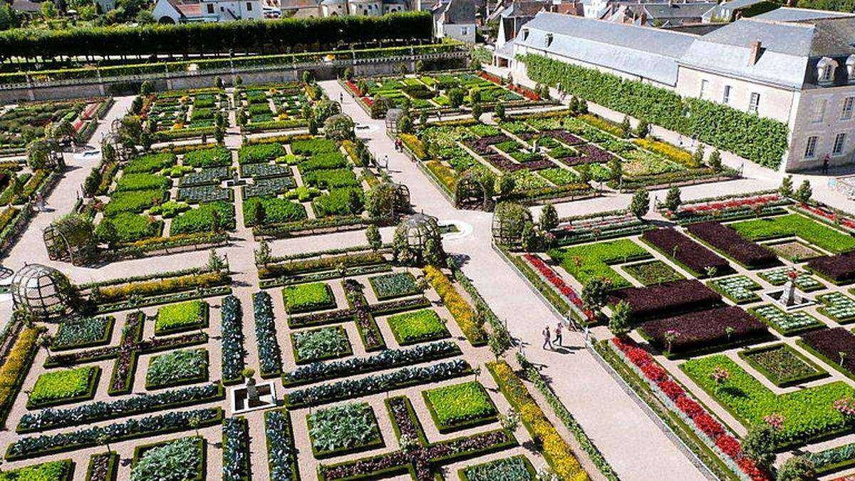 The vegetable plot