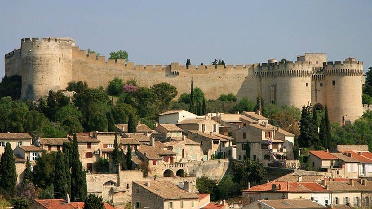 The fort