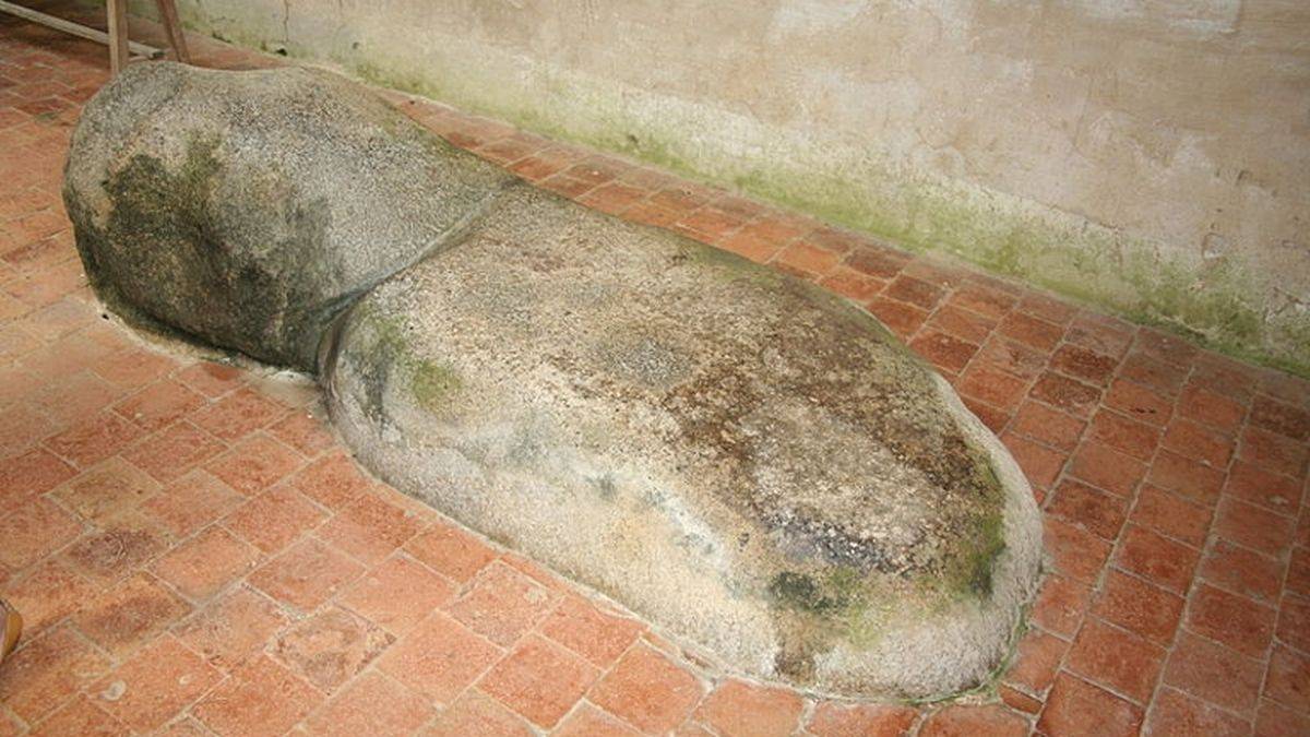Céneri's bed