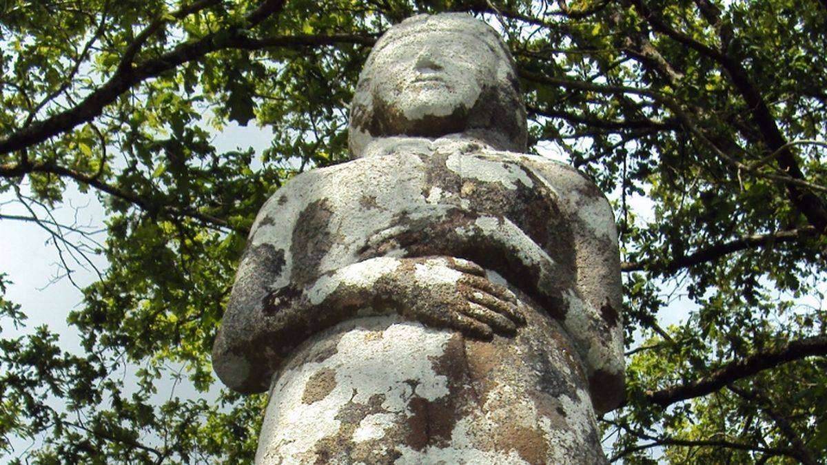 The Venus