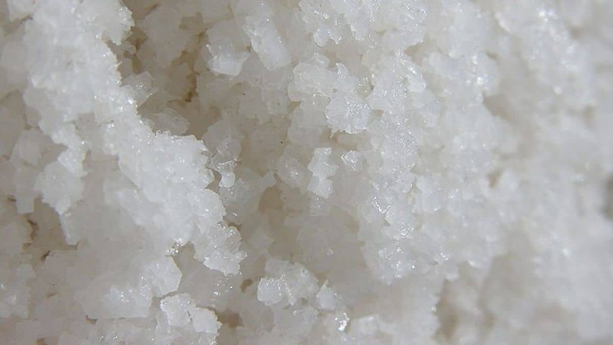 Salt, illustration picture