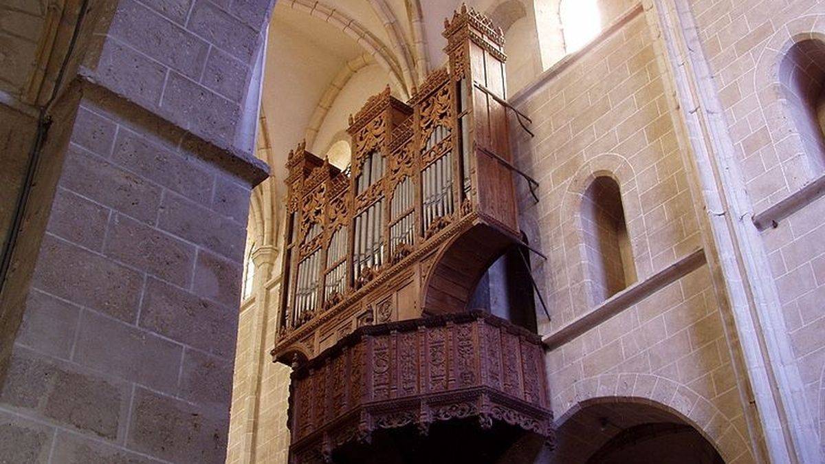 The organ