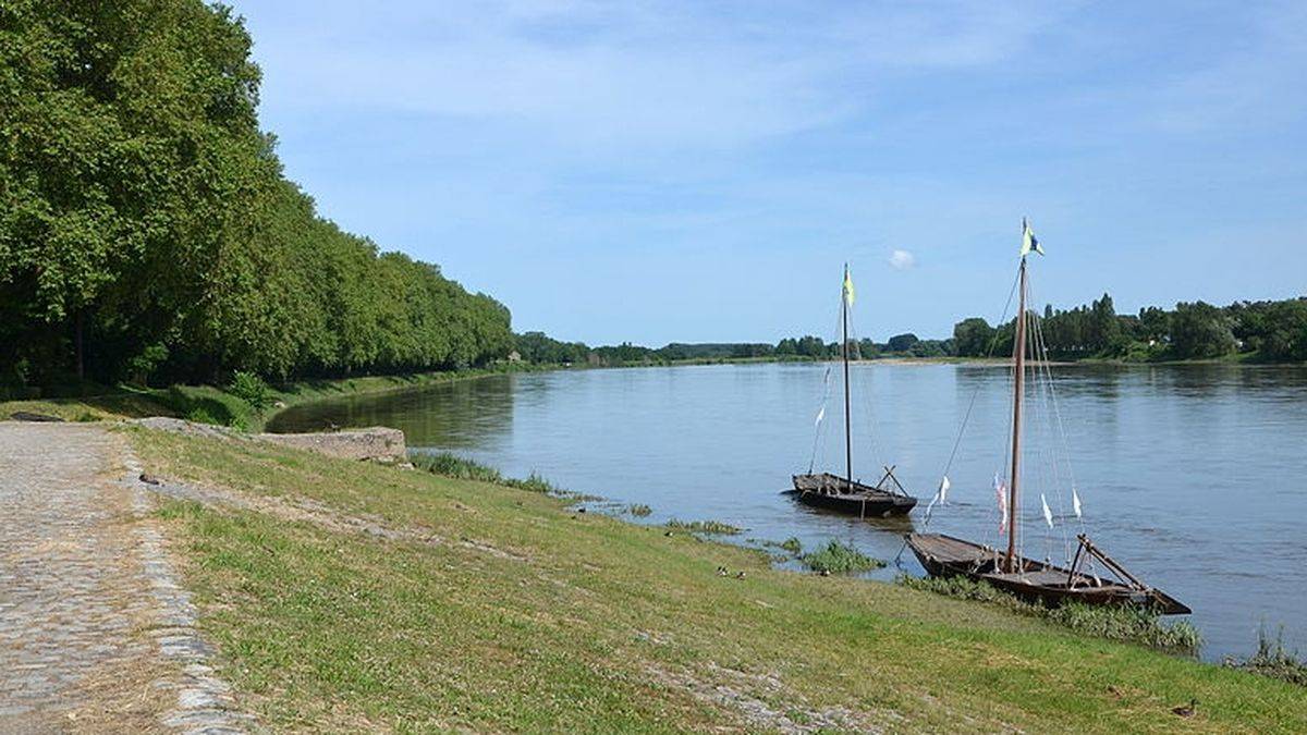 Typical boats on river Loire