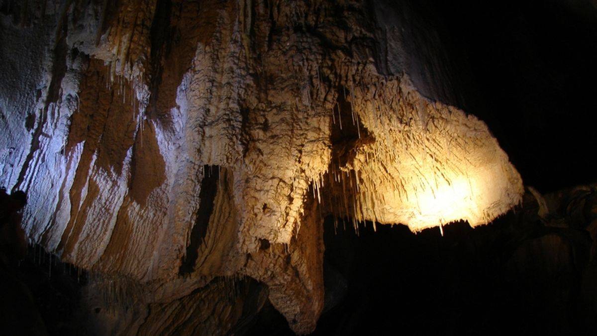 The interior
