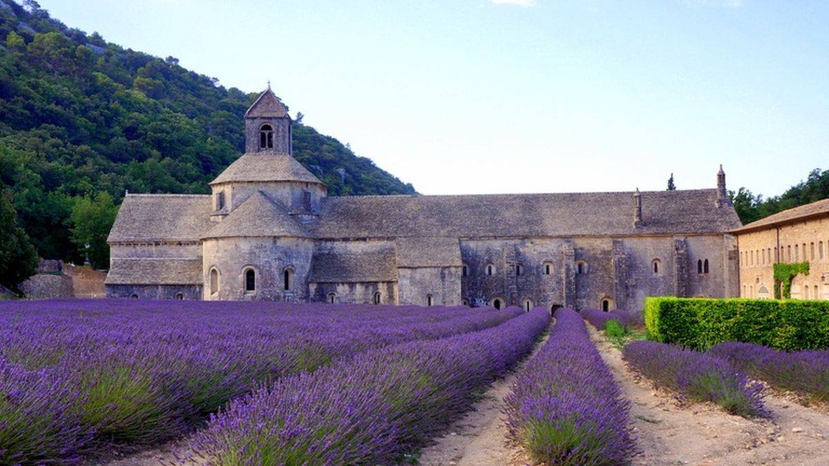 The abbey