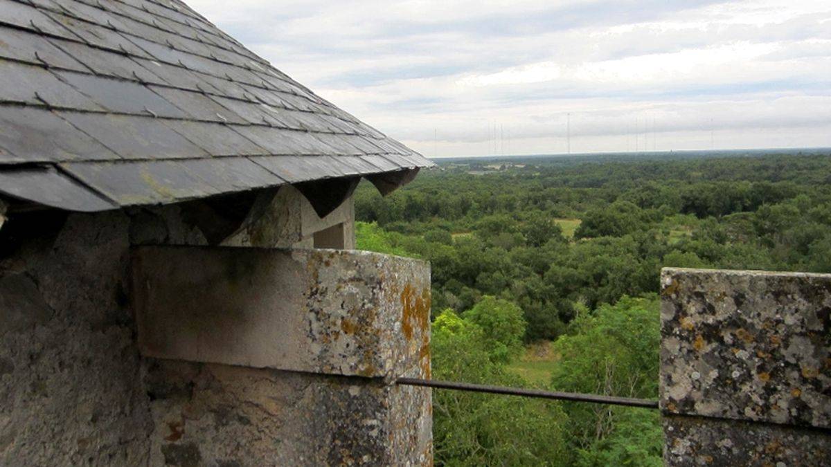 The Brenne, from the Bouchet tower