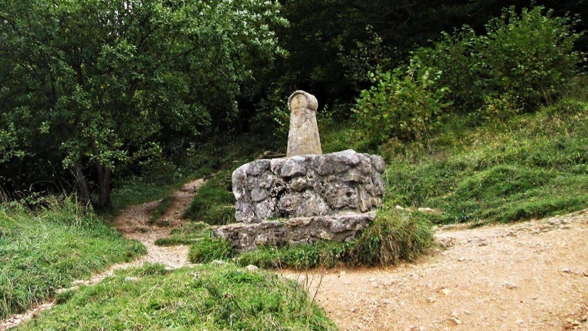 The stele