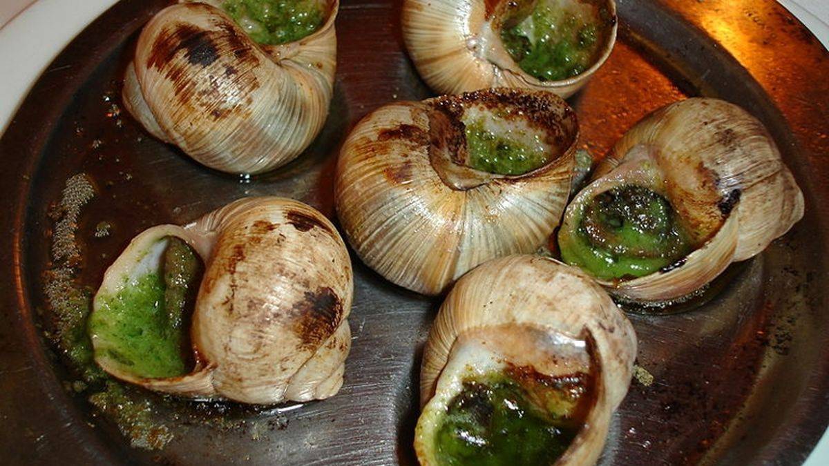 Snails