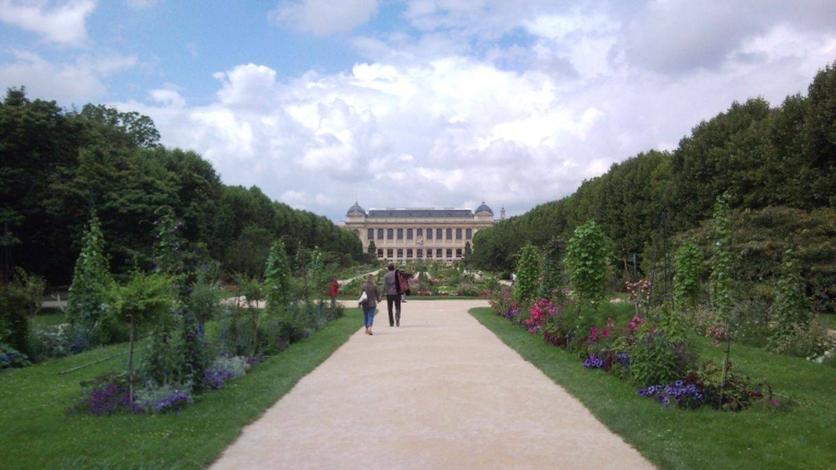 An alley in the garden