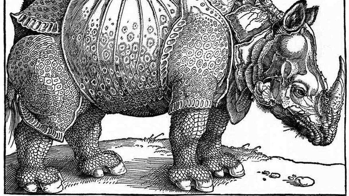 Durer's rhino