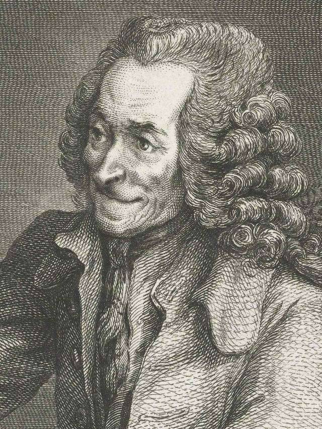 Portrait of Voltaire