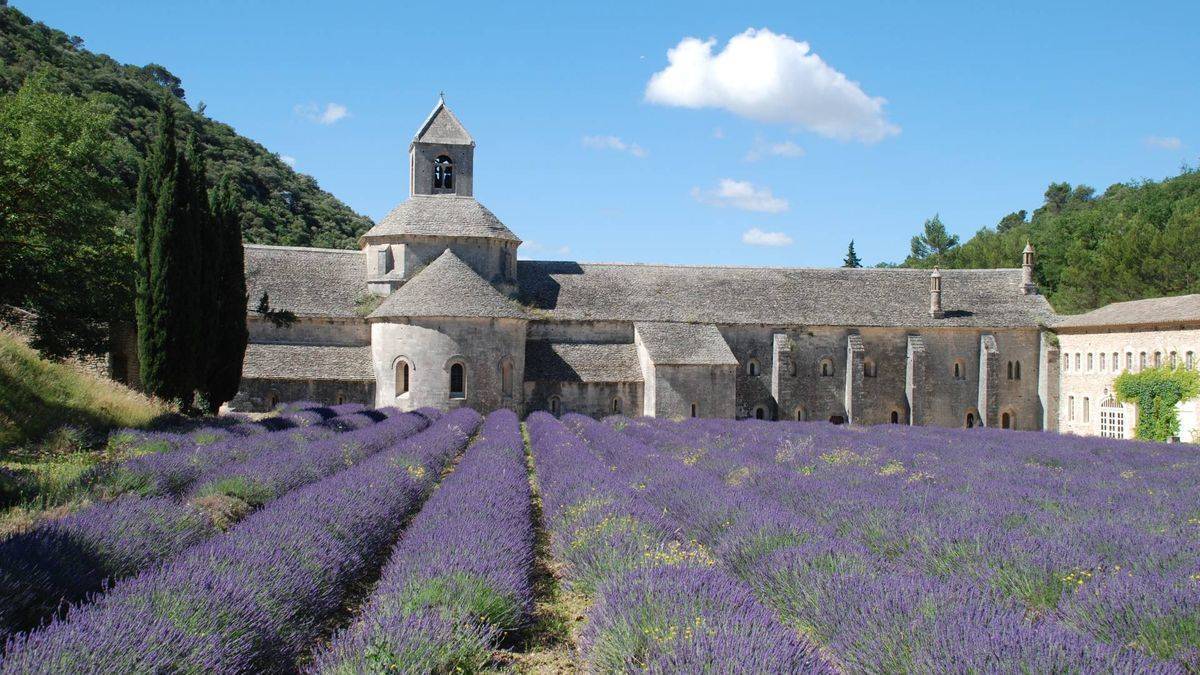 Sénanque abbey