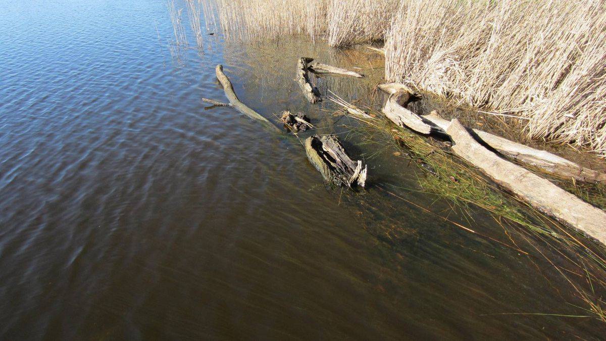 Chérine nature reserve