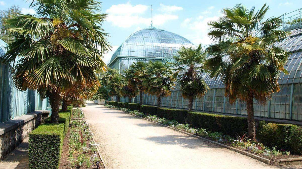 Auteuil greenhouses