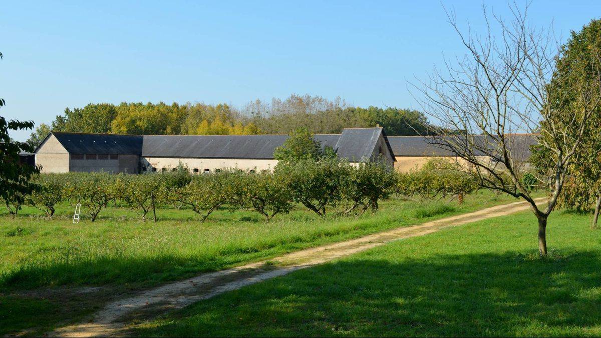 Melleray abbey