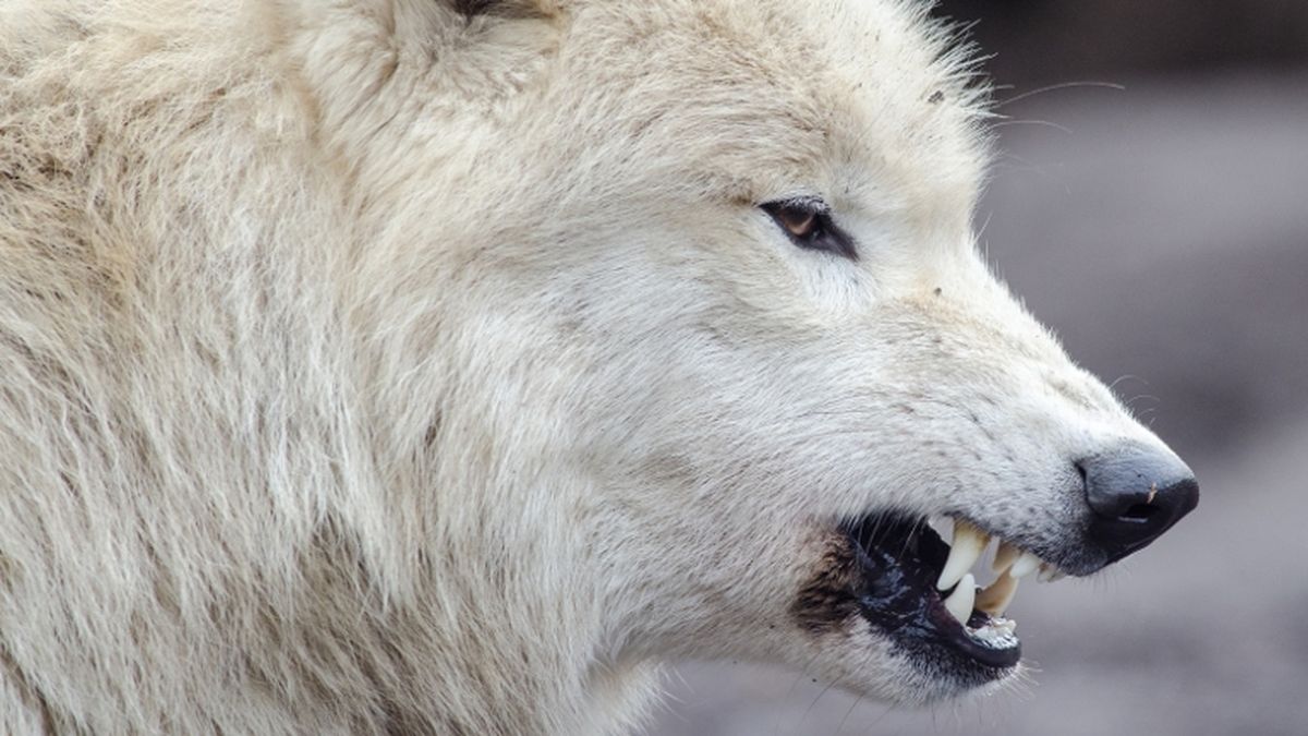 Illustration picture